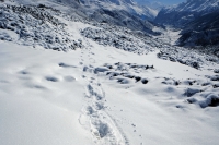 Videonauts Nepal Annapurna Circuit Trekking Schnee Leopard backpacking