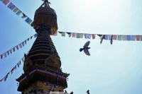 Videonauts Nepal Kathmandu backpacking