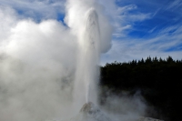 Videonauts Neuseeland Rotorua backpacking