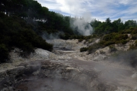 Videonauts Neuseeland Rotorua backpacking