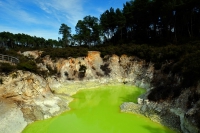 Videonauts Neuseeland Rotorua backpacking