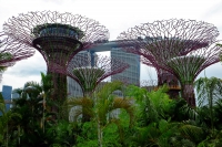 Videonauts Singapur Gardens by the bay backpacking