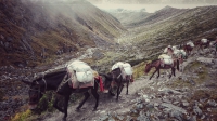 Videonauts backpacking Nepal Manaslu Circuit VII