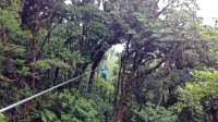 Videonauts Costa Rica Monteverde conopy backpacking