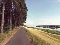 2018_Oder-Neisse-Radweg-20