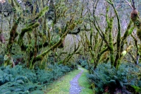 Videonauts Neuseeland Trekking Milford Trek