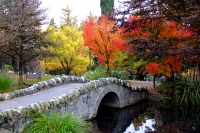 Videonauts Neuseeland Südinsel Queenstown indian summer