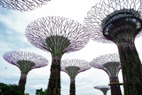Videonauts Singapur Gardens by the bay backpacking