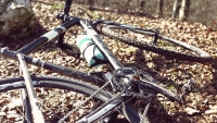 Videonauts Frühling Felt F65x