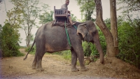 Videonauts Sabbatical Laos Luang Prabang Elephant Village II