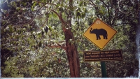 Videonauts Sri Lanka Elephant sign