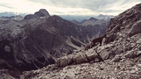 Berge, Wandern, Watzmann Überschreitung