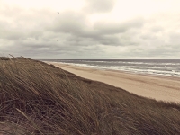 2018_Sylt_08