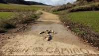 November_Camino11