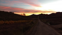 November_Camino13