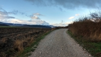 November_Camino5