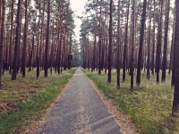 2018_Oder-Neisse-Radweg-16