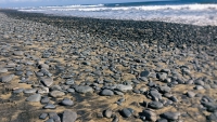 Maspalomas_06
