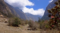 Langtang_03