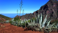 Teneriffa_10