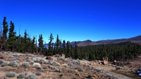 Teneriffa_11